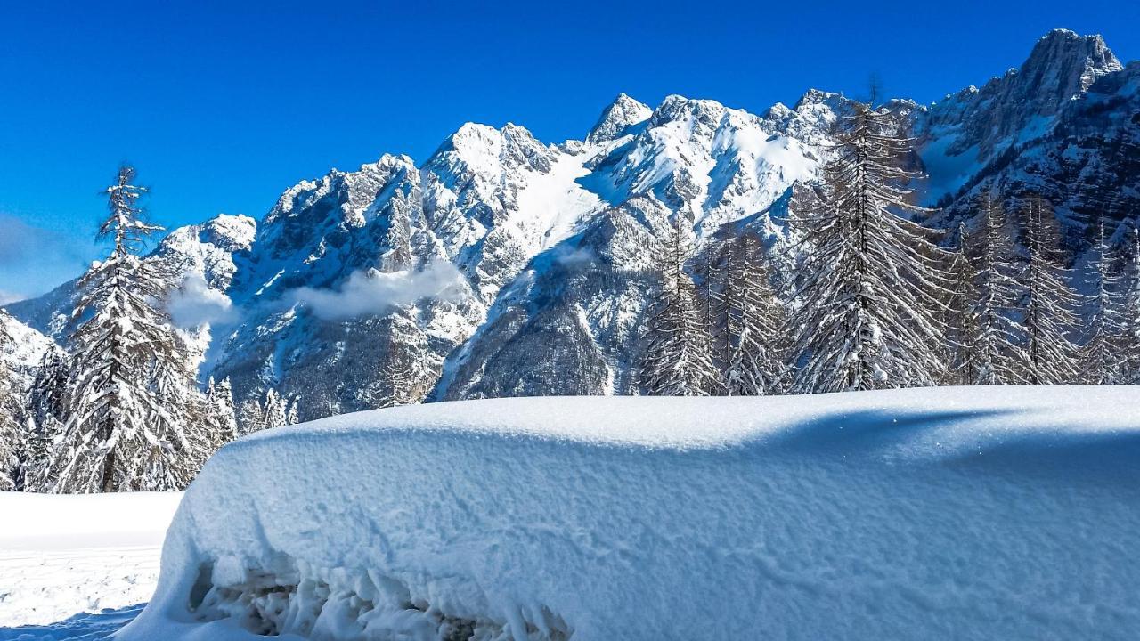 Villa House Moose'T Getaway, Kranjska Gora Exterior foto